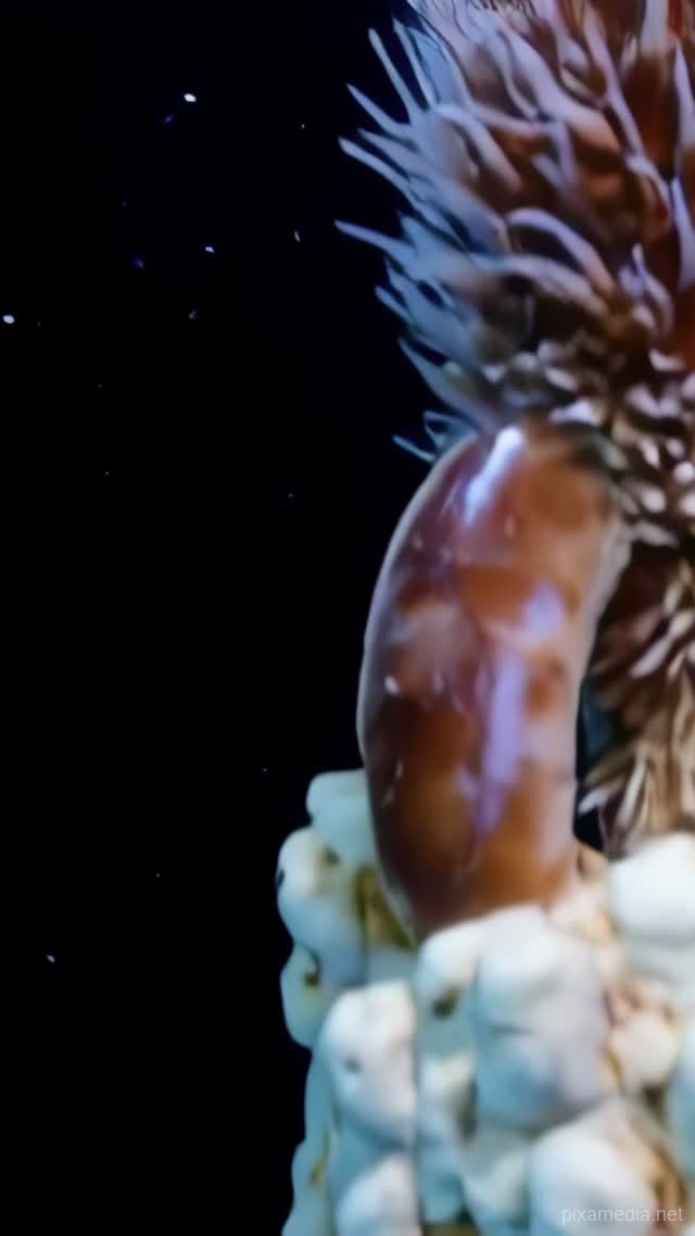 Pompeii Worm on Black Smoker - Ocean Deep AI stock
